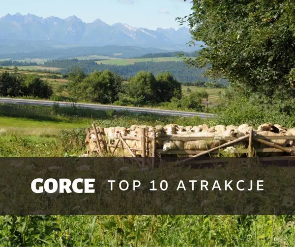 Najciekawsze atrakcje Gorców, które musisz zobaczyć w górach